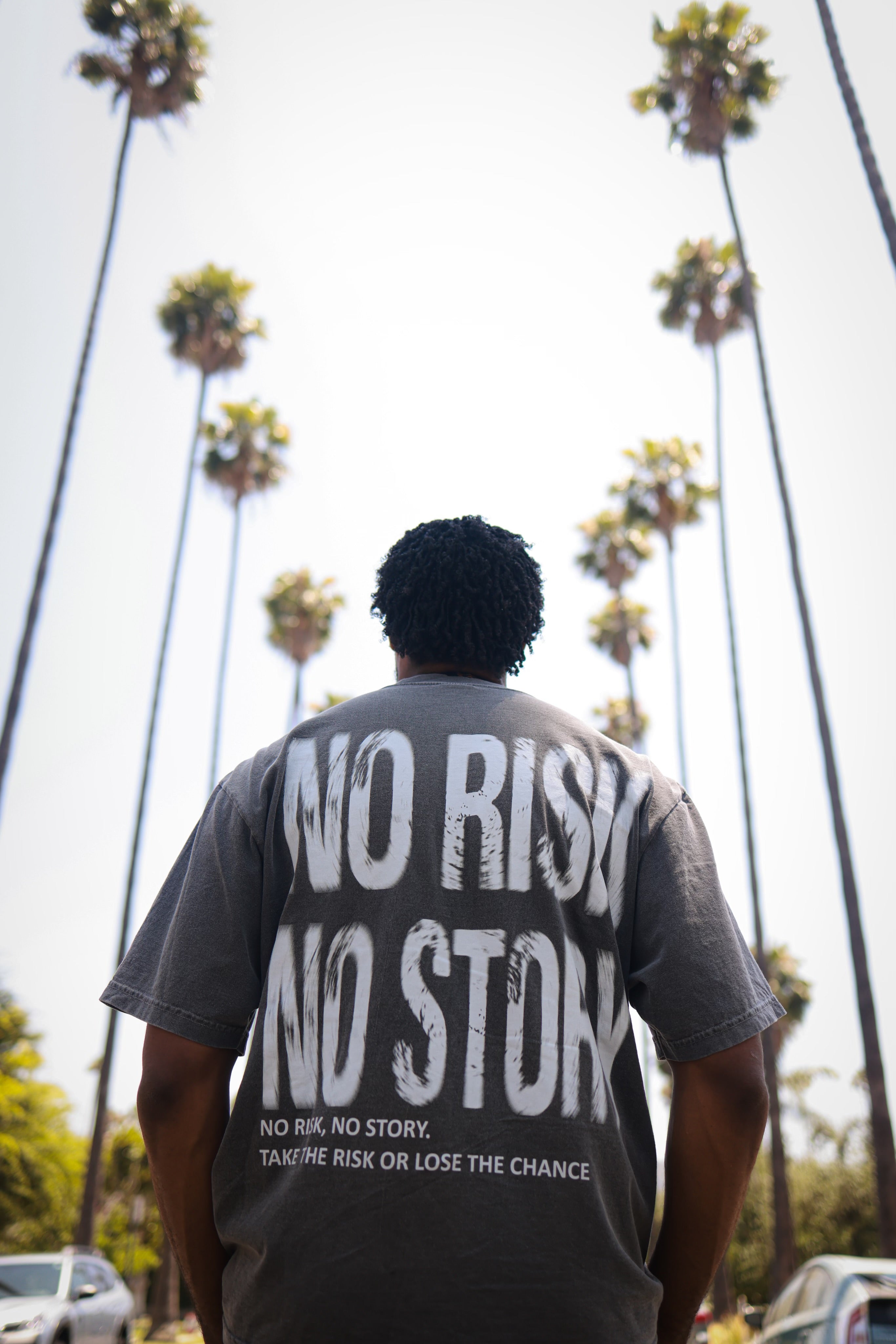 No Risk No Story